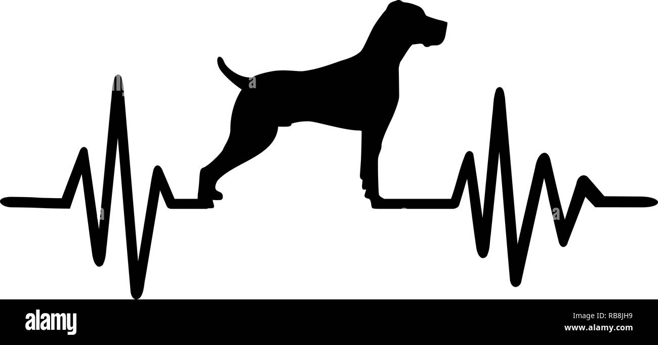La fréquence de pulsation avec braque de silhouette de chien Banque D'Images