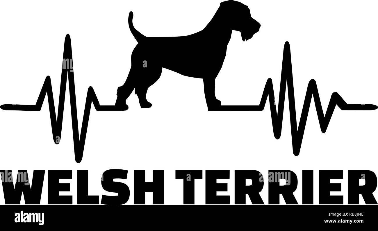 Impulsion de signal de ligne avec silhouette de chien de terrier de Gallois Banque D'Images