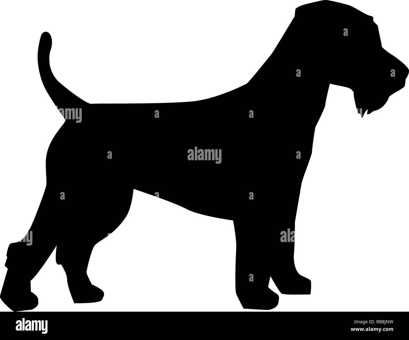 Silhouette de terrier de gallois du vrai en noir Banque D'Images