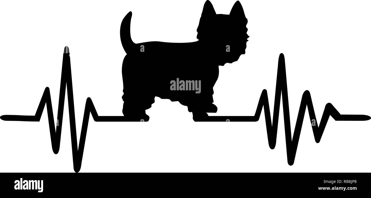 La fréquence de pulsation avec silhouette chien Westie Banque D'Images