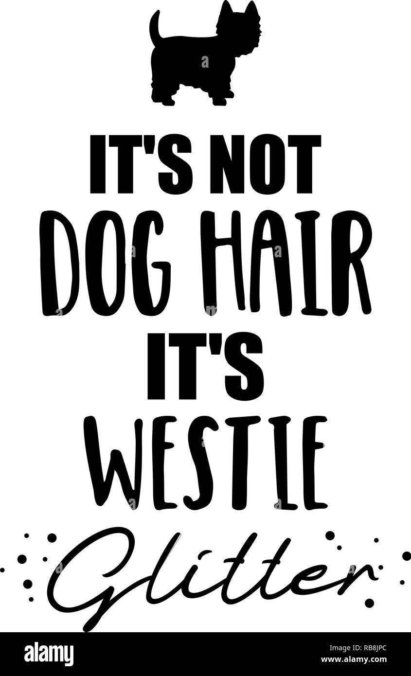 Ce n'est pas des poils de chien, c'est un Westie glitter slogan Banque D'Images