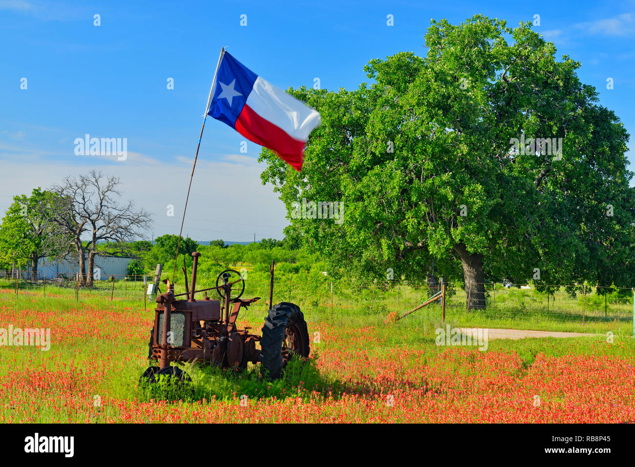 Texas drapeau sur un tracteur John Deer 1935 dans un champ de pinceau, Burnet County, Texas, USA Banque D'Images