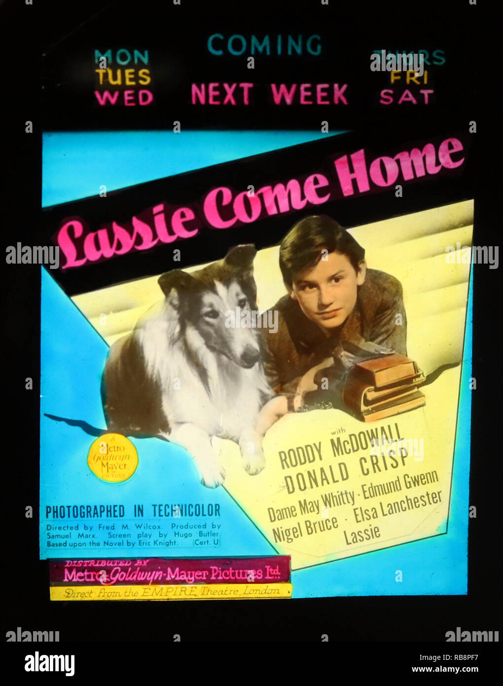 Roddy McDowall "Lassie Come Home" film annonce Banque D'Images