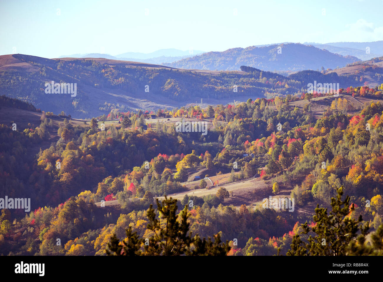 L'automne plus de collines couvertes d'arbres Banque D'Images