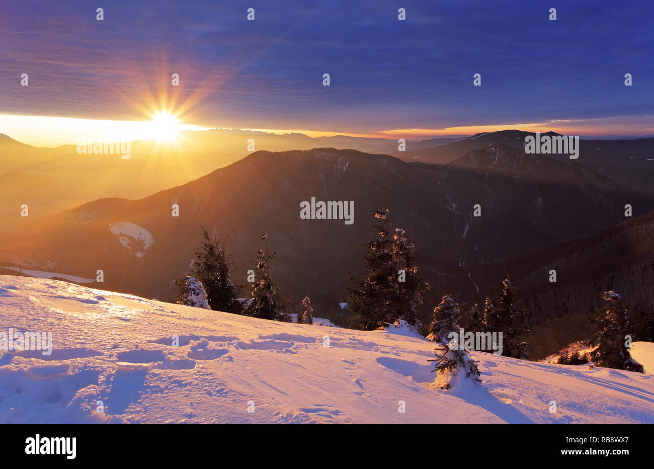 Des montagnes et des forêts à l'hiver avec les rayons du soleil Banque D'Images