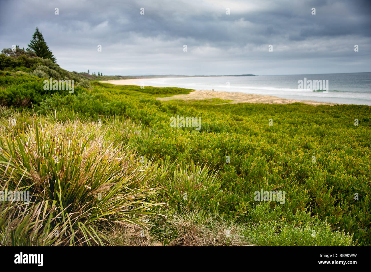 Diamond Beach sur la côte centrale, New South Wales, Australie. Scène à couper le souffle, forêt pluviale côtière répond aux dunes de sable avec un fond de ciel orageux Banque D'Images