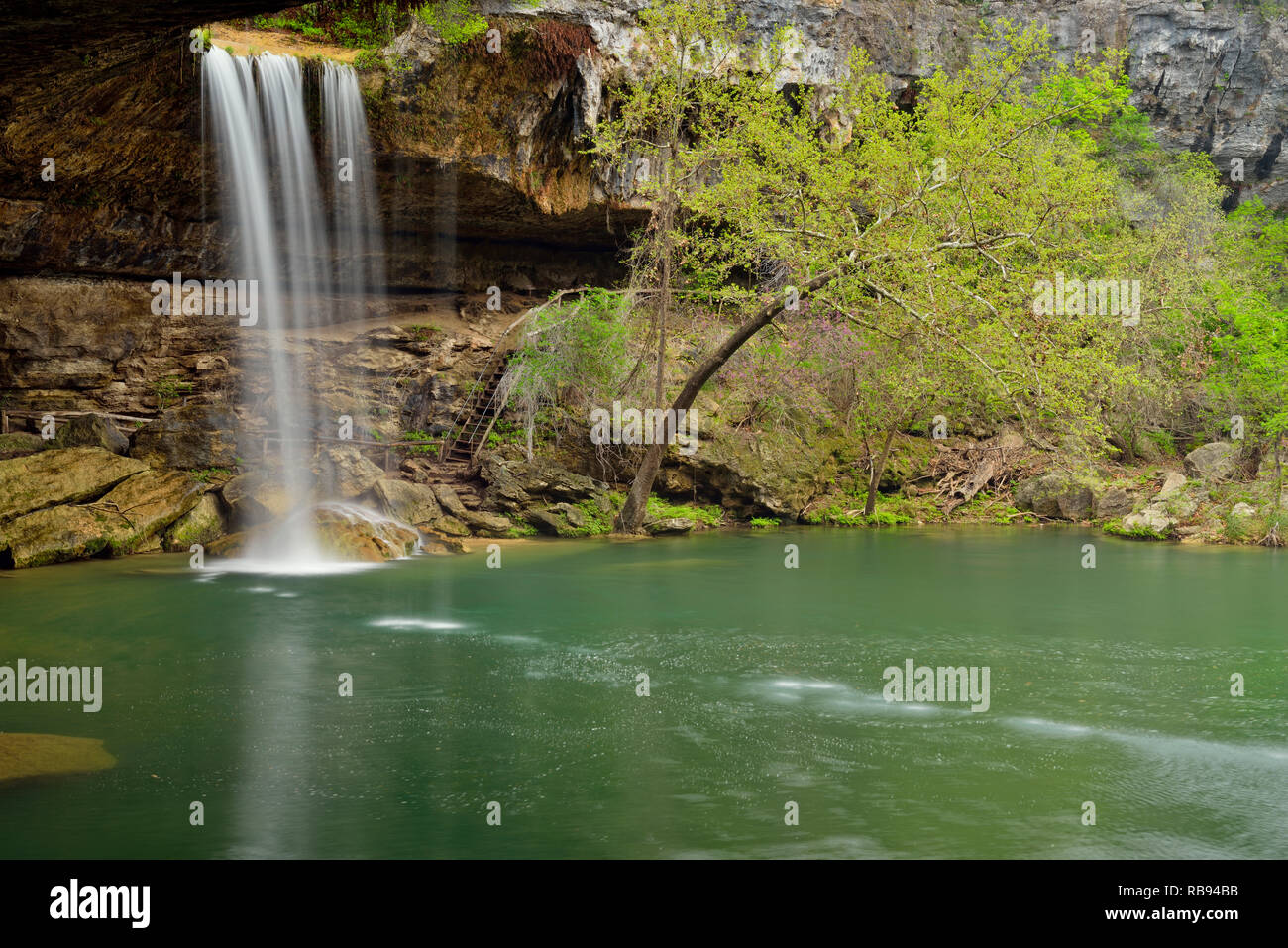 Cascade du ruisseau de Hamilton Hamilton, Hamilton et Piscine Piscine Préserver Travis County Parks, Texas, États-Unis Banque D'Images