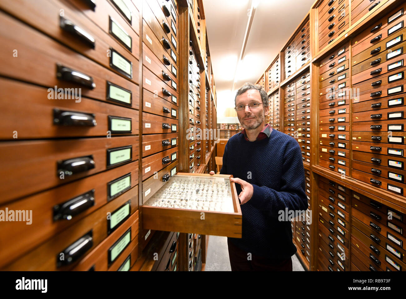 19 décembre 2018, Bavaria, Munich : Stefan Schmidt, chercheur à l'insecte de l'État Collection zoologique de Munich, prend un insecte fort avec les insectes de préparé le projet aboutira à sortir du placard. Dans le code à barres de l'ADN à l'échelle de l'Allemagne, l'équipe de recherche du projet a trouvé plusieurs espèces d'insectes inconnus (à propos de 'Dark dpa : taxons espèces inconnues des chercheurs découvrent sur leur porte' à partir de 08.01.2019) Photo : Tobias Hase/dpa Banque D'Images