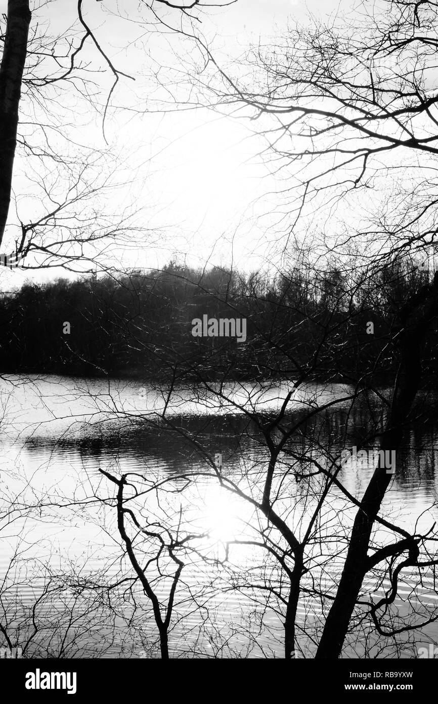 Magnifique lac et forêt au coucher du soleil en monochrome Banque D'Images