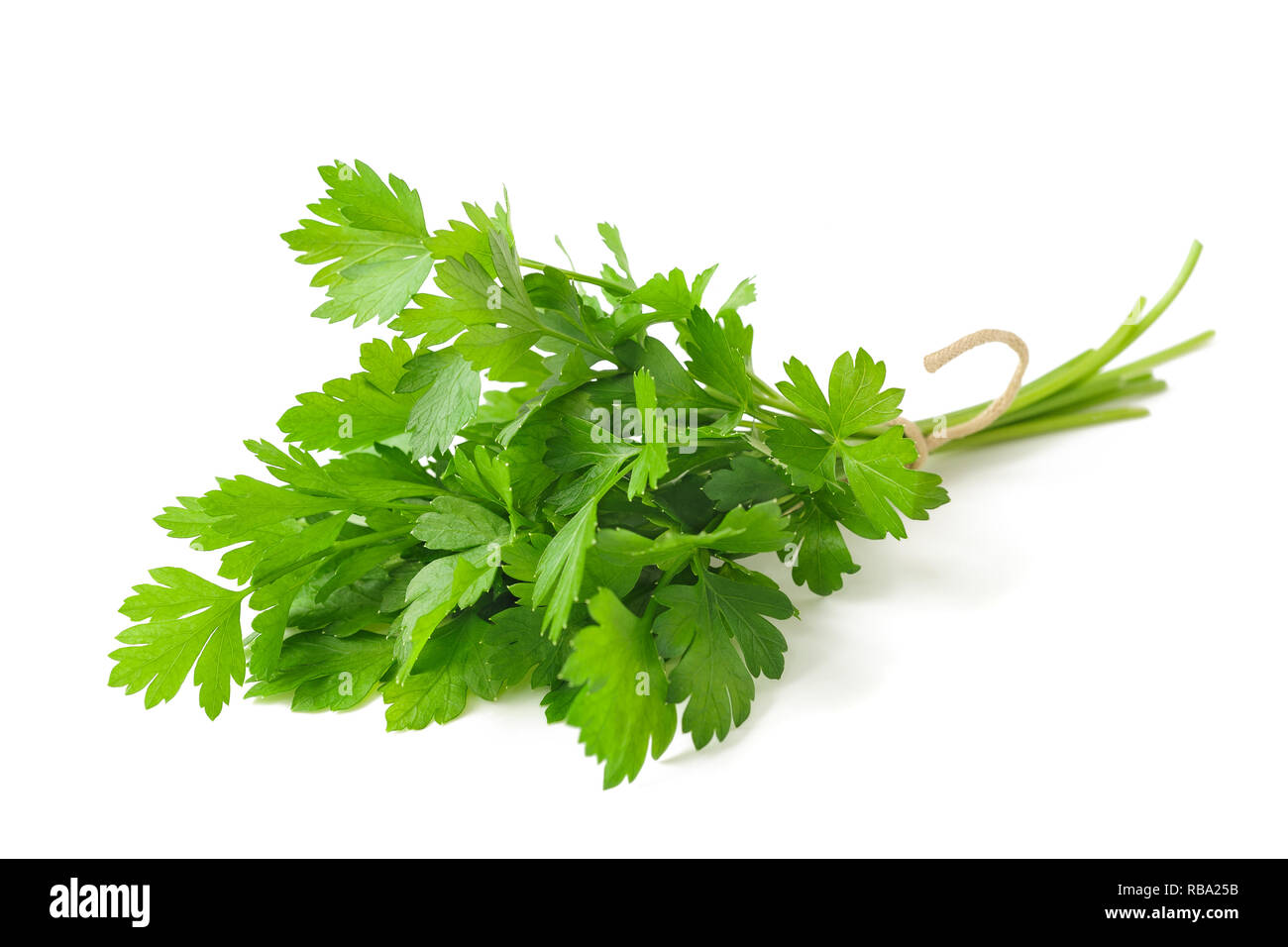 Bouquet de persil attaché isolé sur fond blanc Banque D'Images
