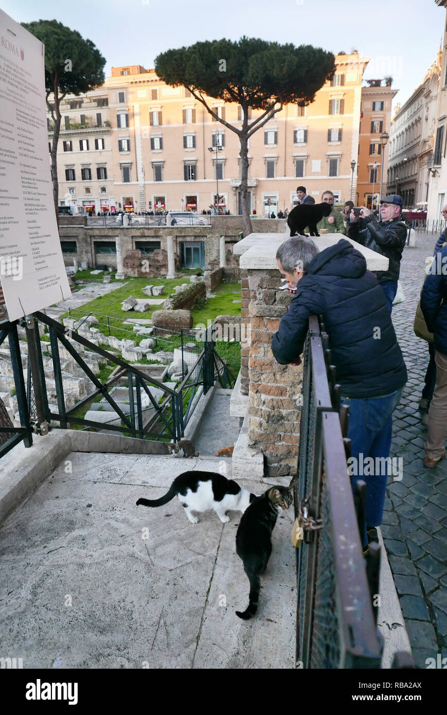 ROME, ITALIE - 27 décembre 2018 : Rencontrez les chats célèbres de Rome à l'Area Sacra dans Largo di Torre Argentina Banque D'Images