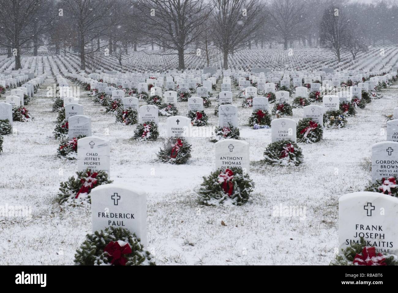 Chutes de neige dans l'article 60 de Arlington National Cemetery, le 7 janvier 2017 à Arlington, Va., c'était la première chute de neige importante de la saison. Banque D'Images