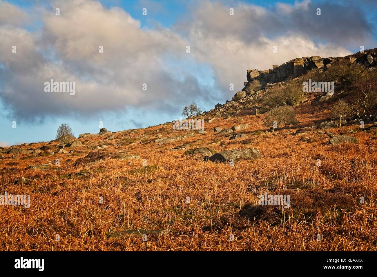 Pente d'escarpe pierre meulière AVEC BRACKEN ÉBOULIS COUVERT EN DESSOUS D'UN PAYSAGE DE LANDES AU SOLEIL Banque D'Images