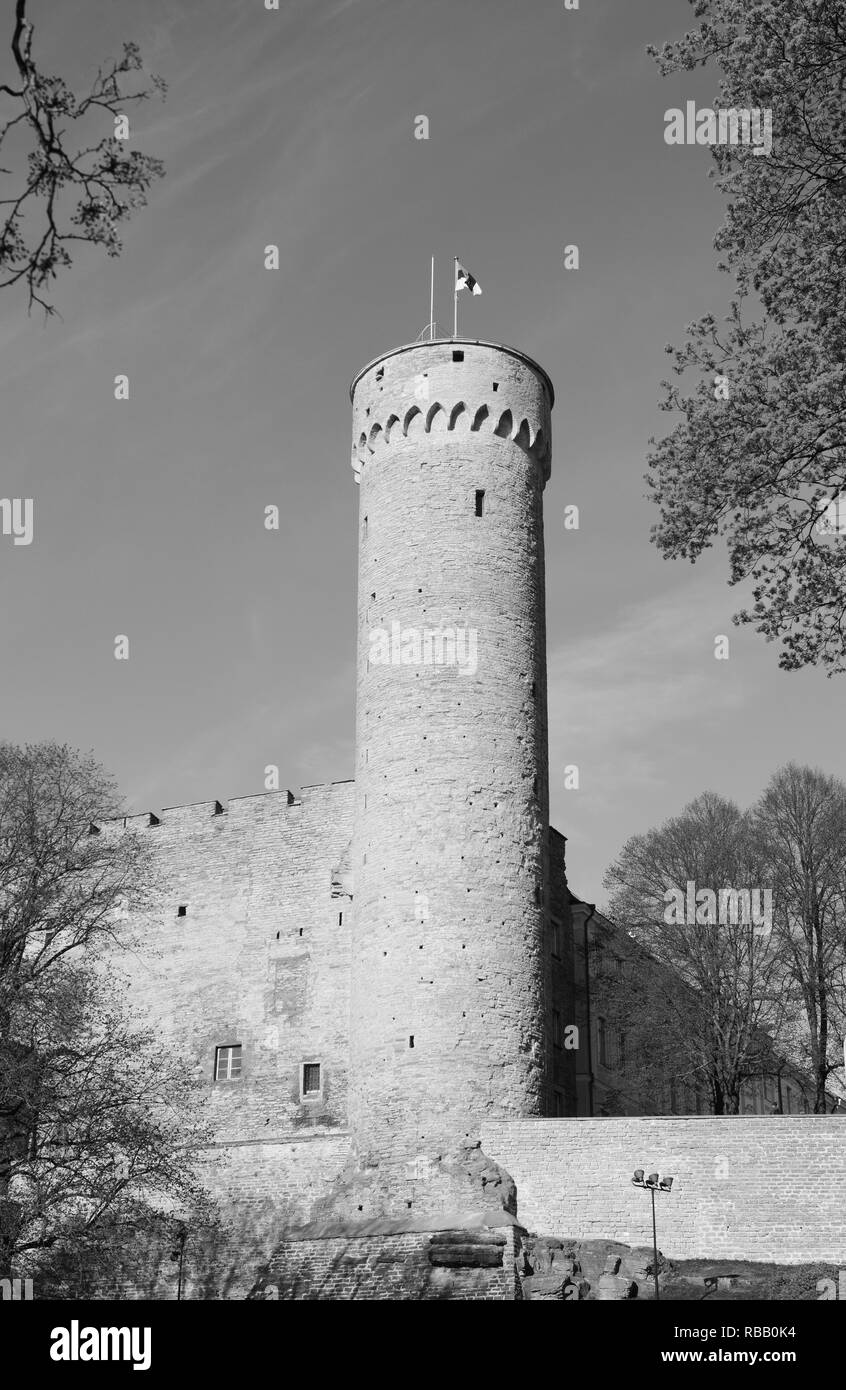 Pikk Hermann tour de château de Toompea dans la vieille ville de Tallinn, Estonie - traitement monochrome Banque D'Images