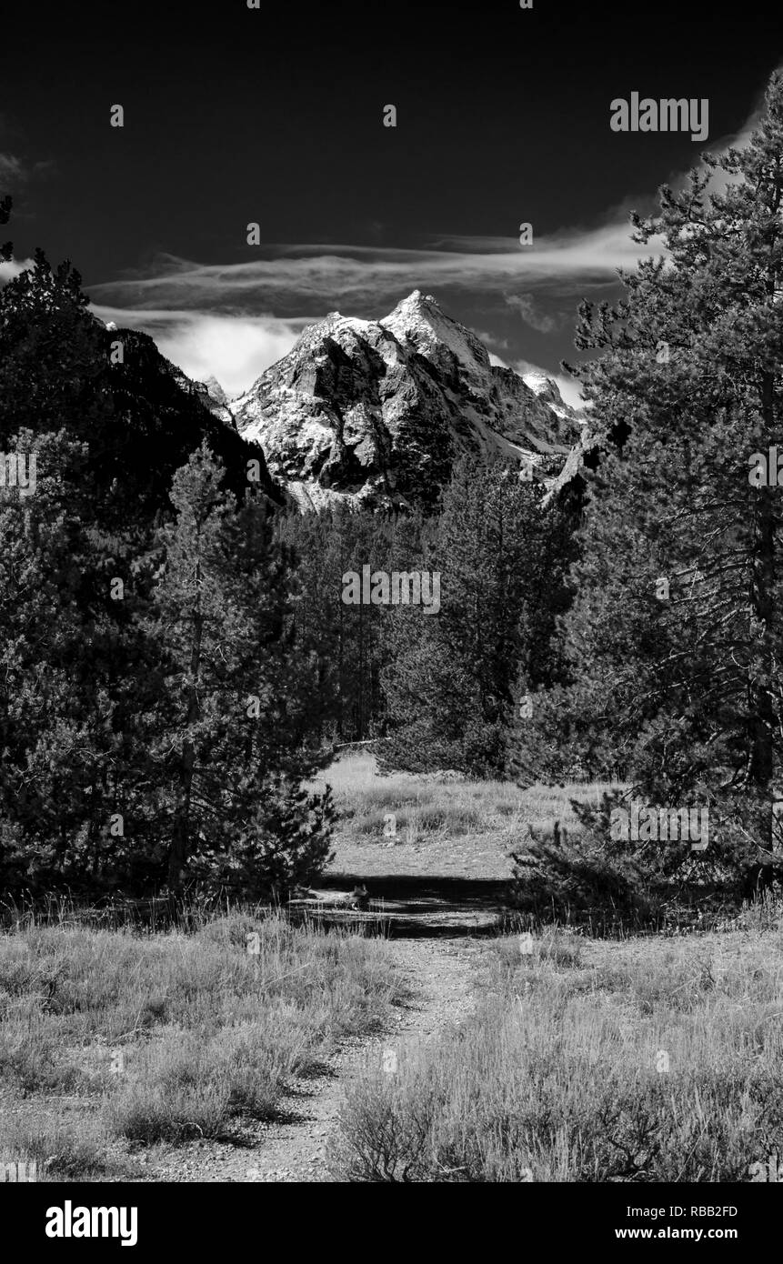 Chaîne Teton de Grand Teton National Park dans l'État américain du Wyoming Banque D'Images