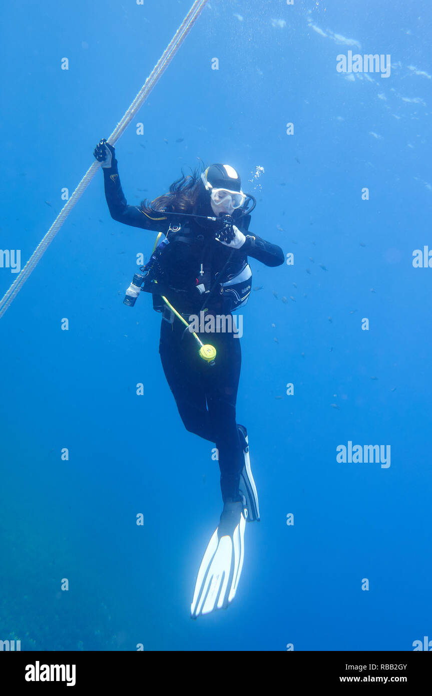 Plongée sous-marine femelle à l'arrêt de sécurité tenant une ligne de sécurité tout en lisant l'ordinateur de plongée (Parc naturel de ses Salines, Formentera, mer Méditerranée, Espagne) Banque D'Images