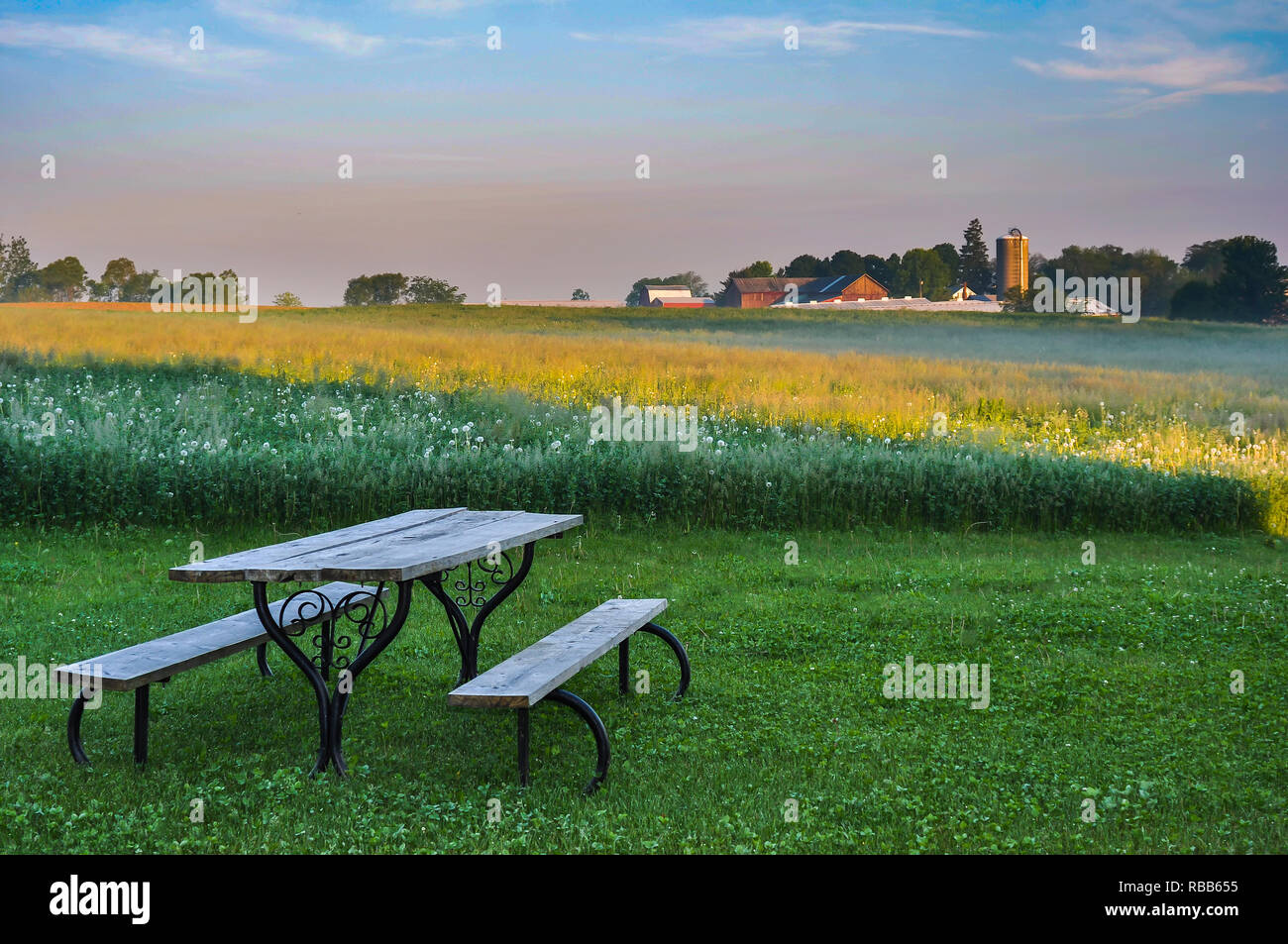 Une vieille table de pique-nique dans une pelouse à l'égard d'une exploitation agricole à travers le champ de luzerne. Banque D'Images