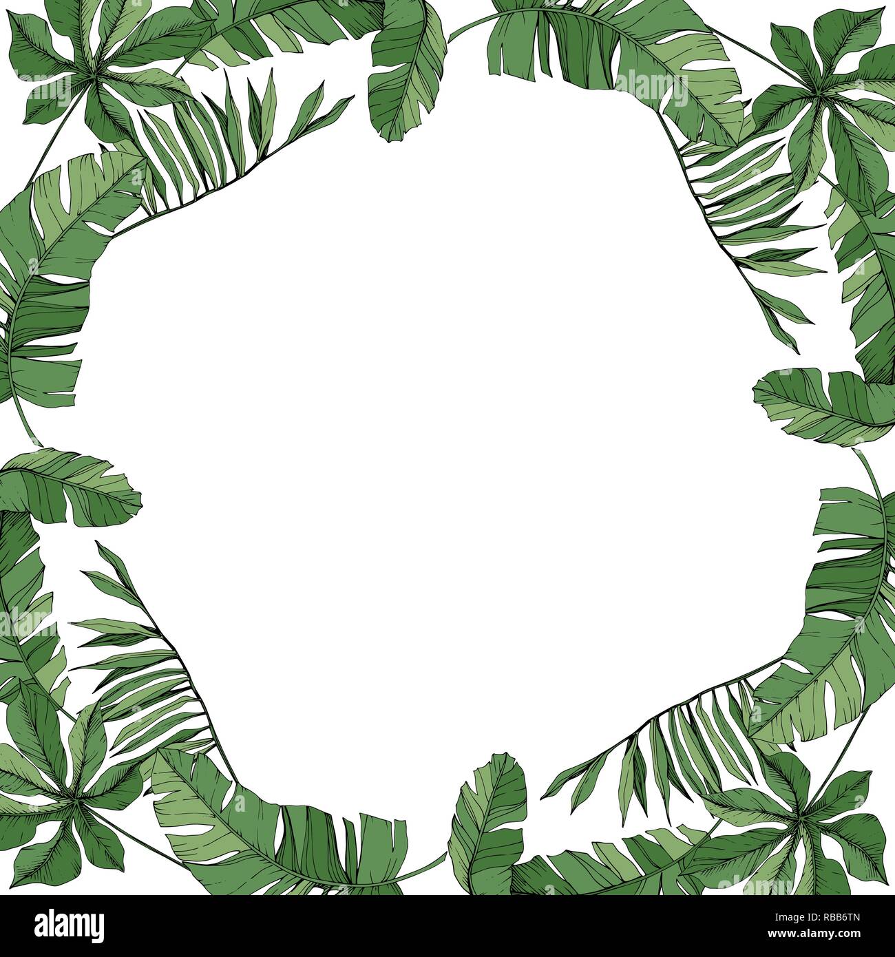 Botanique Plante Feuille Verte Vecteur De Feuillage Encre Palm Beach Art Grave De Feuilles D Arbres Bordure De Cadre Carre Ornement Image Vectorielle Stock Alamy