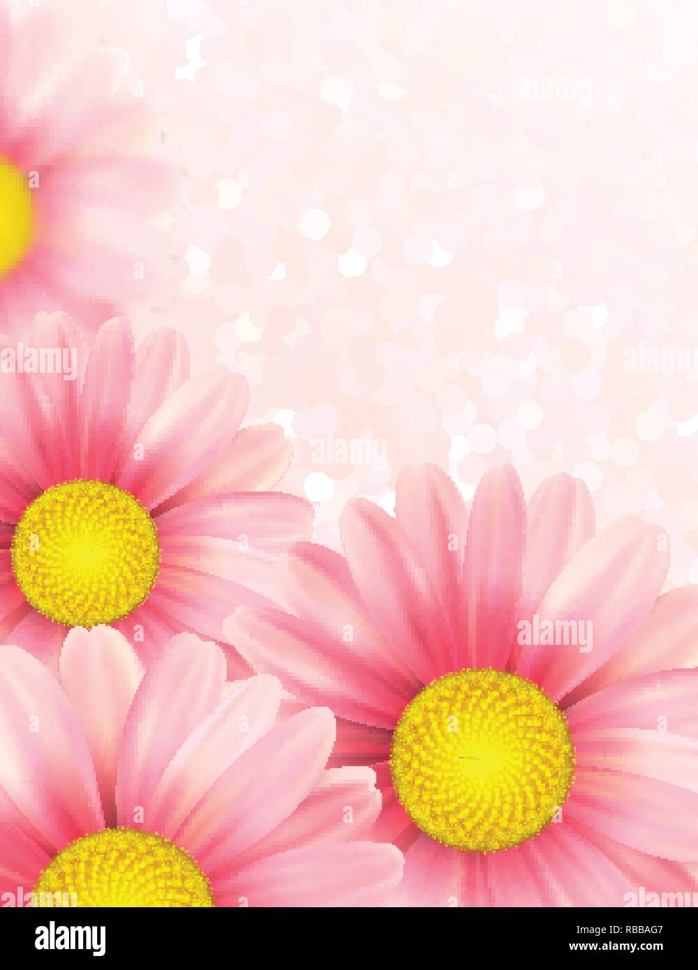 Arrière-plan avec daisy rose des fleurs. Vector illustration Illustration de Vecteur