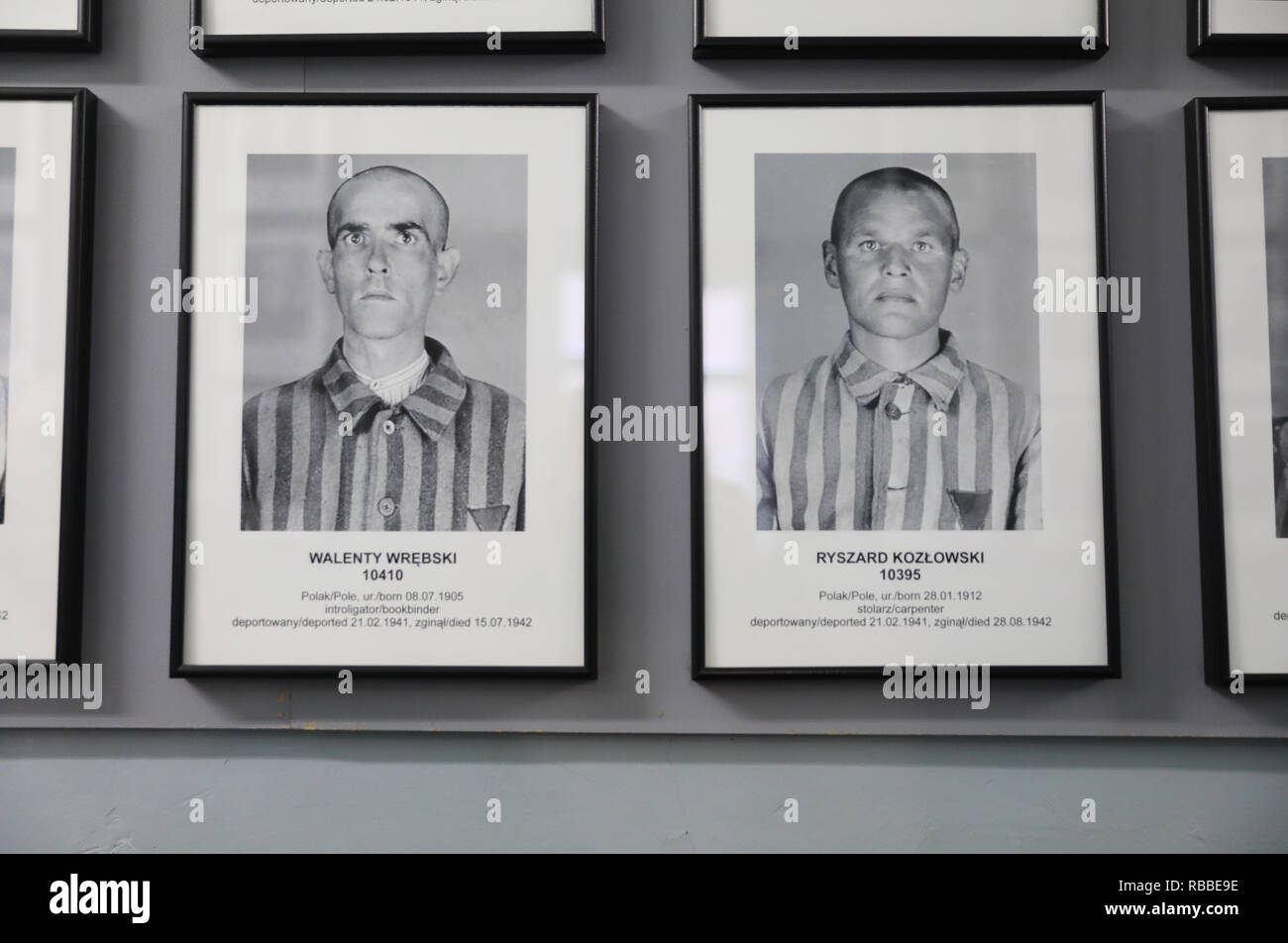 Photos de prisonniers ligne les murs dans le déménagement au salon d'Auschvitz 1 camp de concentration en Pologne Banque D'Images