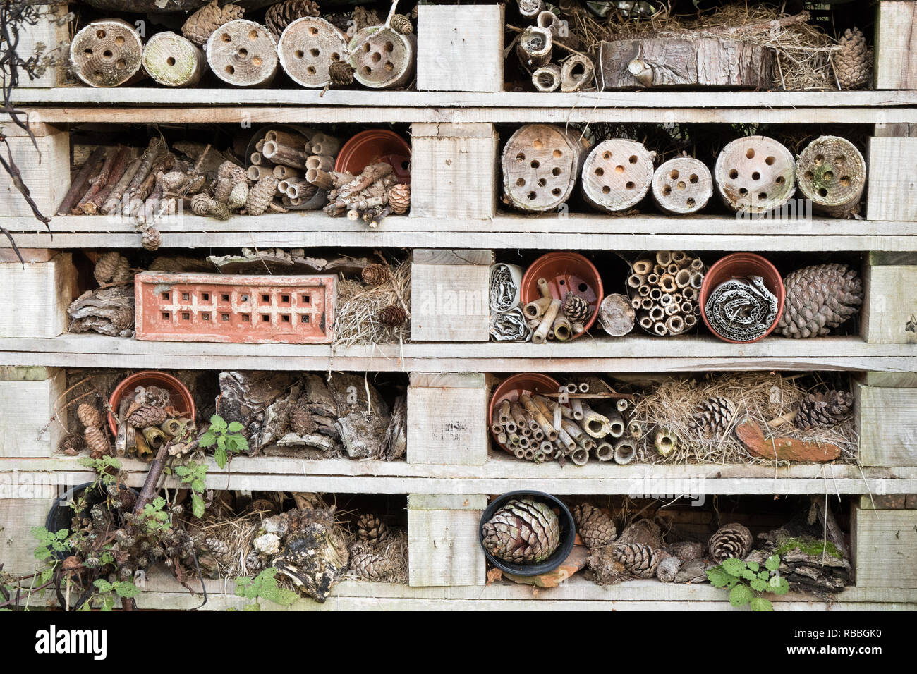 Hôtel - un bug pour la nature de l'habitat Banque D'Images