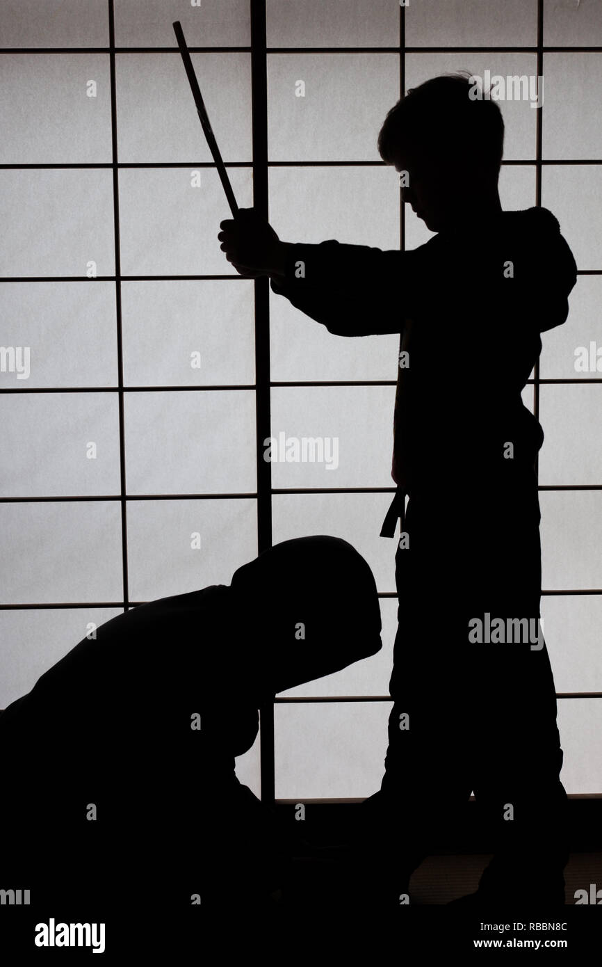 Garçons Lutte contre un écran shoji en silhouette Banque D'Images