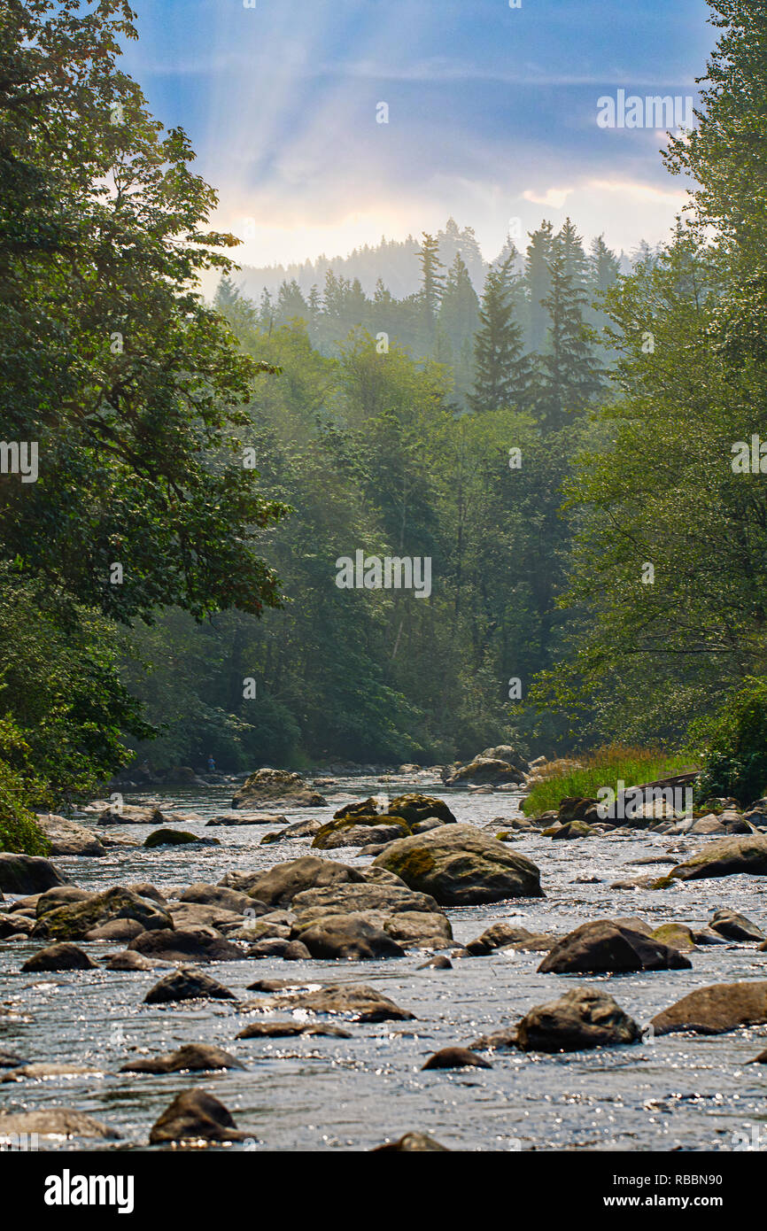 Lever de soleil depuis l'après-midi coucher de soleil sur la rivière verte en été dans l'état de Washington Banque D'Images