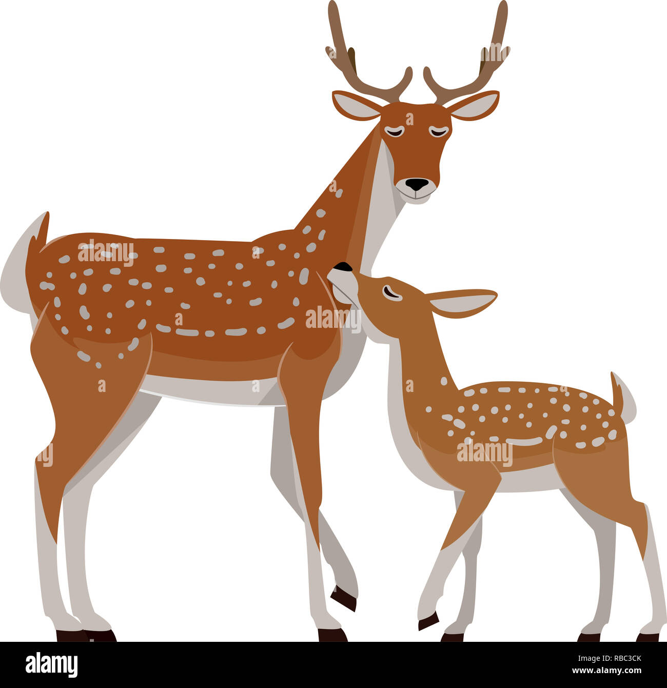 Illustration D Un Chevreuil Avec Un Jeune Bebe Chevreuil Faon Photo Stock Alamy