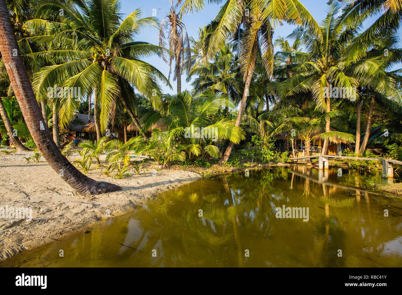 La Côte Tropical, silhouette du palmier sur l'eau. Banque D'Images