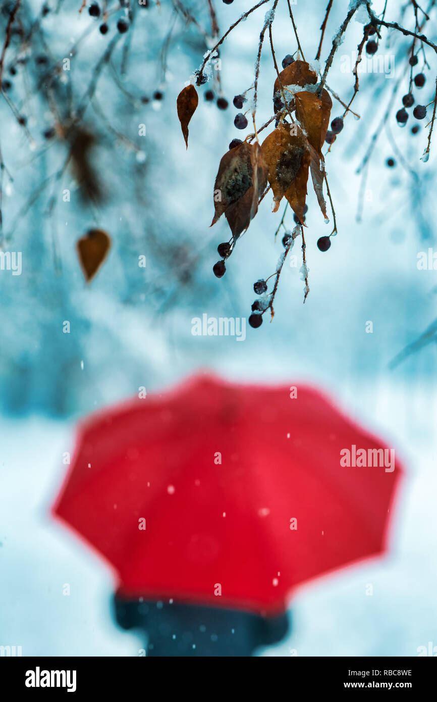 Balade en hiver, triste et seule femme sous parapluie rouge walking in park Banque D'Images