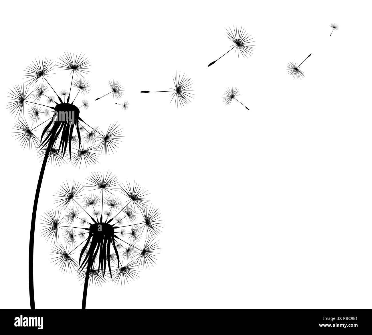 Silhouette d'un pissenlit fleurs Illustration de Vecteur