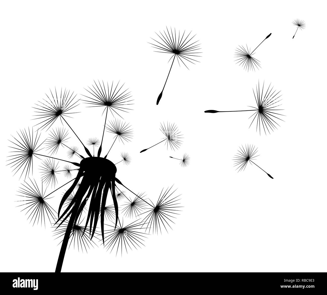 Silhouette d'un pissenlit fleurs Illustration de Vecteur