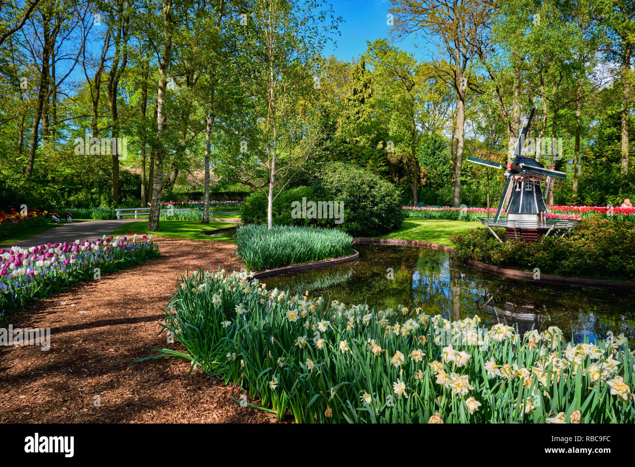 Jardin de fleurs Keukenhof. Lisse, aux Pays-Bas. Banque D'Images