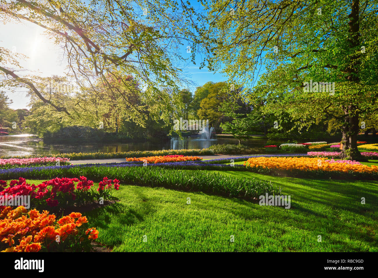 Jardin de fleurs Keukenhof. Lisse, aux Pays-Bas. Banque D'Images