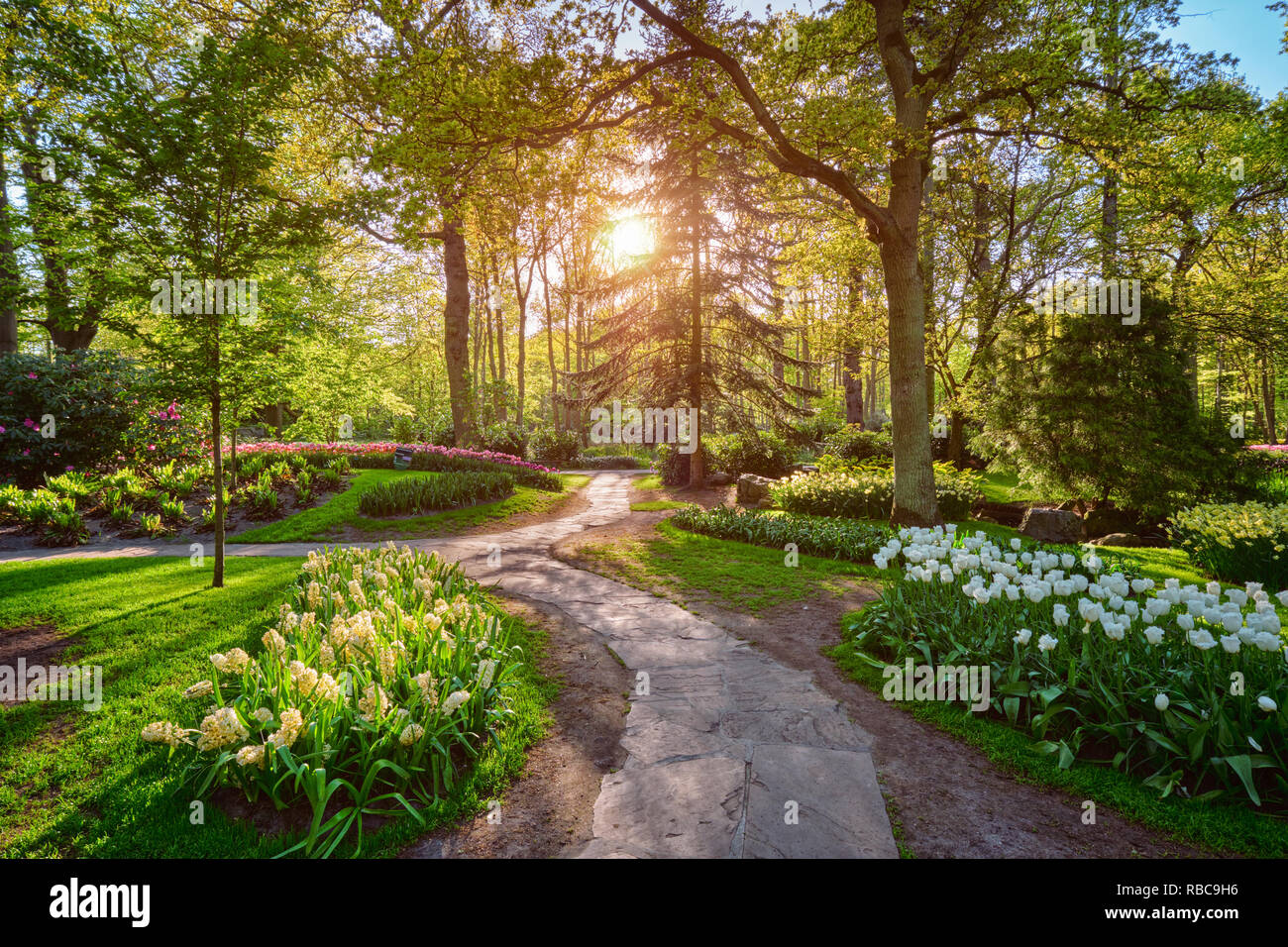 Jardin de fleurs Keukenhof. Lisse, aux Pays-Bas. Banque D'Images