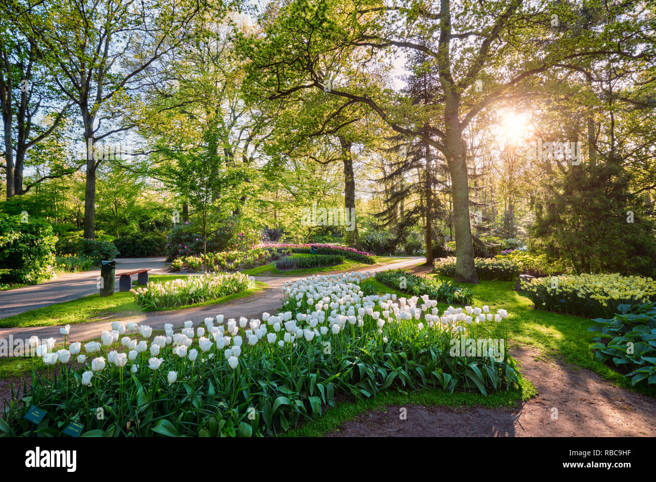 Jardin de fleurs Keukenhof. Lisse, aux Pays-Bas. Banque D'Images