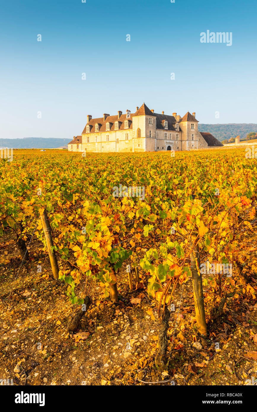France, Bourgogne-Franche-comté, Bourgogne, Côte-d'Or, Vougeot. Le Clos de Vougeot et son vignoble. Banque D'Images