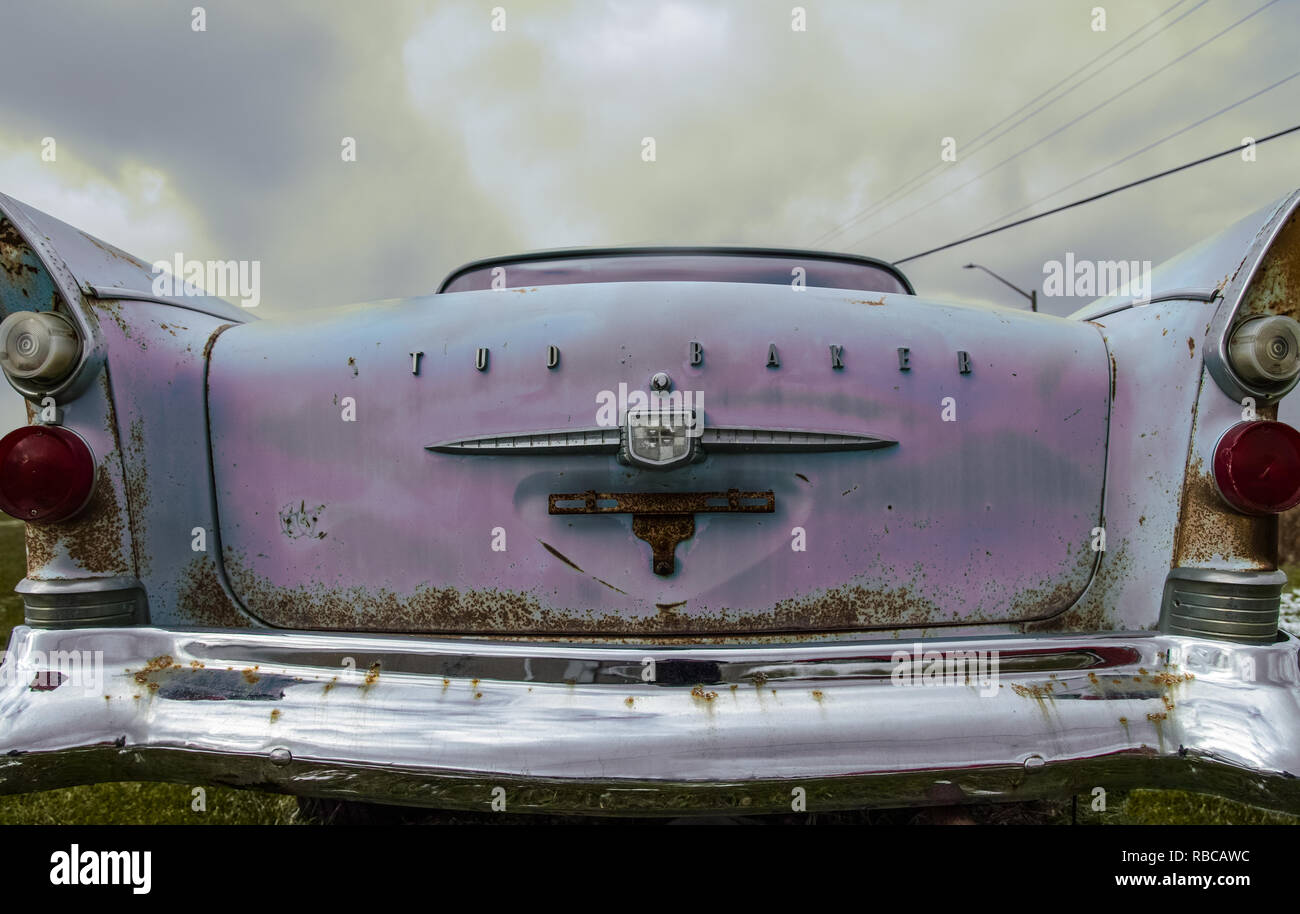 Une vue arrière de cette épave Studebaker President ou rose, commandant de la fin des années 50. Grand tailfin. Banque D'Images