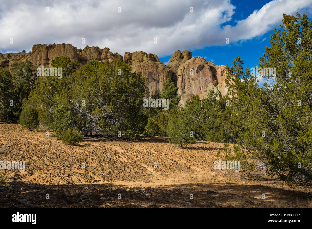Inscription Rock avec pinyon-forêt de genévrier et croûte de sol biologique dans l'avant-plan, El Morro National Monument, New Mexico, USA Banque D'Images