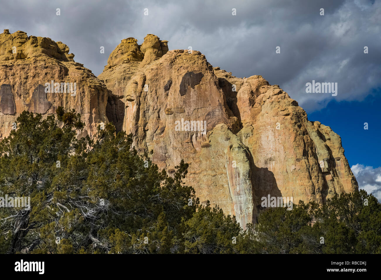 Inscription Rock domine la pinyon-genévrier forêt de El Morro National Monument, New Mexico, USA Banque D'Images