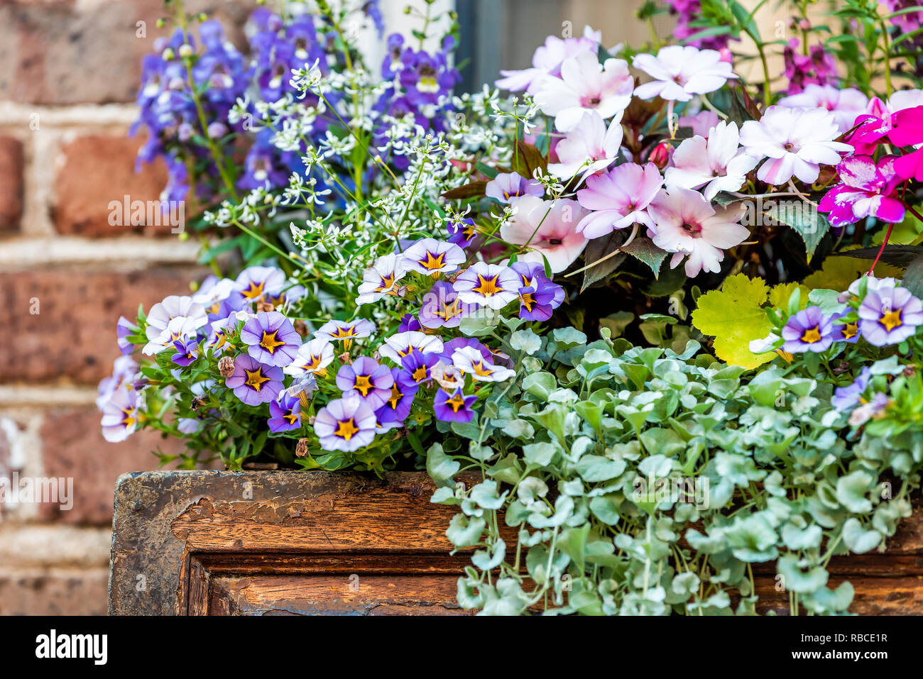 Fenêtre De Couleur Bleu Violet Et Rose Panier De Fleurs Fort