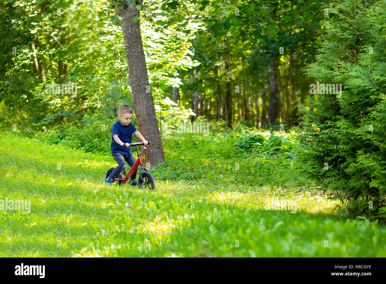 Un garçon de la forêt est à cheval sur l'équilibre du vélo. L'enfance Banque D'Images