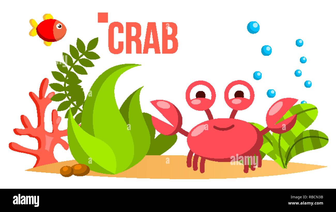 Vecteur de crabe. Au fond de l'océan, la mer avec des algues et poissons. Télévision Cartoon illustration isolé Illustration de Vecteur