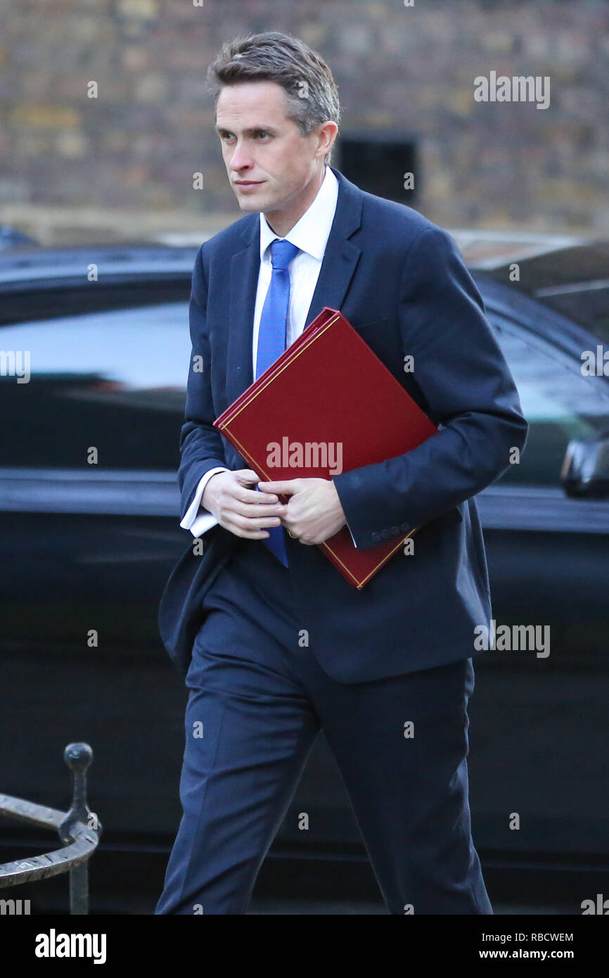 Gavin Williamson - Secrétaire d'État à la défense vu à son arrivée à l'Downing Street pour assister à la réunion hebdomadaire du Cabinet. Banque D'Images
