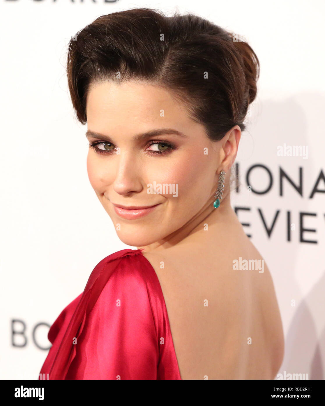 Sophia Bush assiste au National Board of Review 2019 Gala au Cipriani 42nd Street, 08 janvier 2019 à New York. Crédit : Walter McBride/MediaPunch Banque D'Images