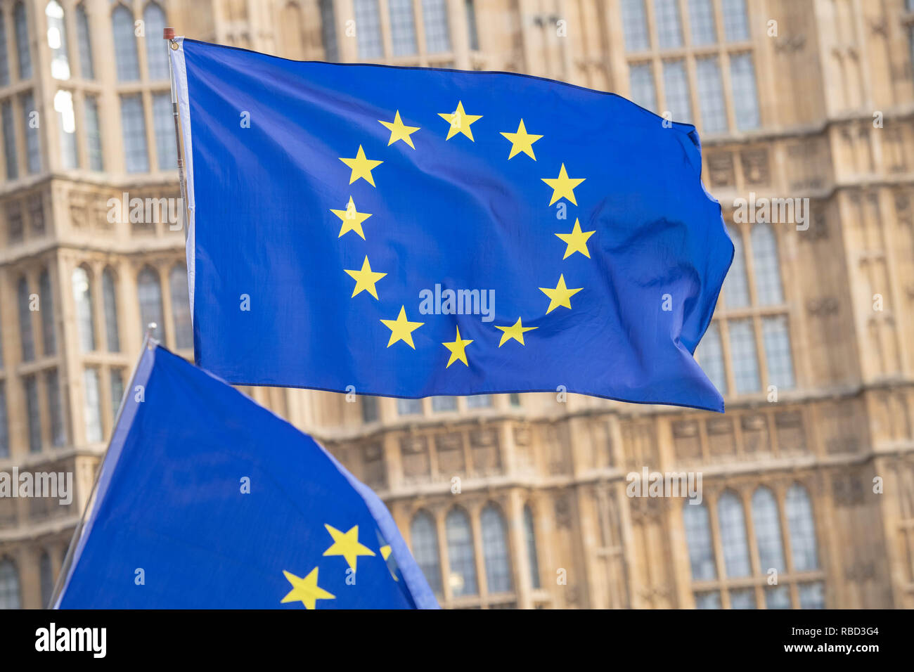 Londres, Royaume-Uni. 9 janvier 2019, des drapeaux européens situe en dehors de la Chambre des communes par les manifestants Brexit Crédit : Ian Davidson/Alamy Live News Banque D'Images