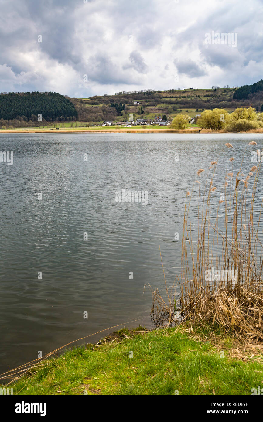 L'Meerfelder Maar du lac de volcan, dans l'Eifel, Allemagne sur une journée de printemps ciel couvert avec premier plan. Banque D'Images