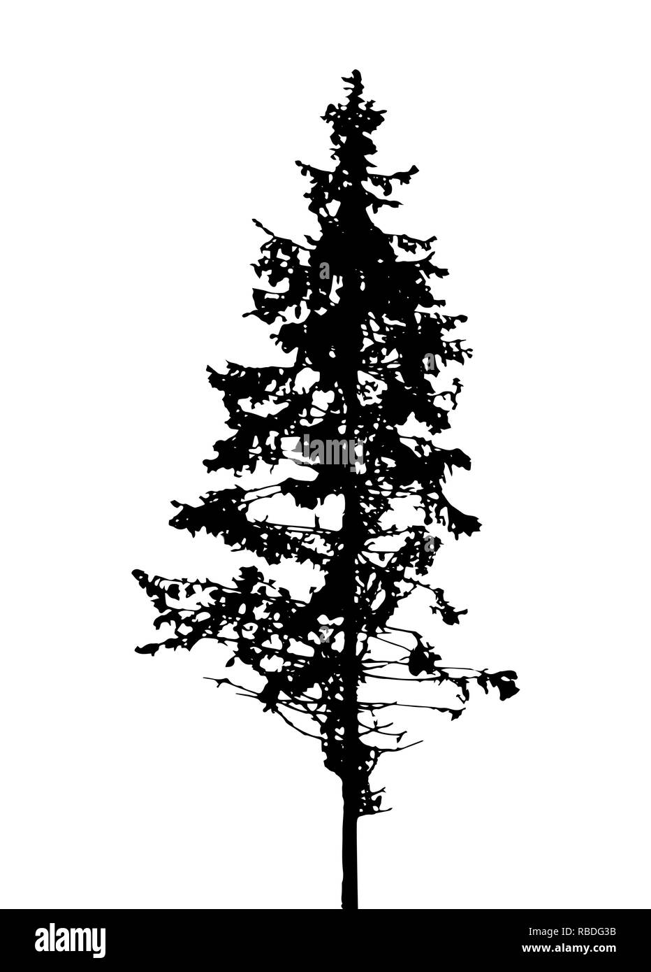 Arbre Silhouette isolated on White Backgorund. Vecrtor Illustration. EPS10 Illustration de Vecteur