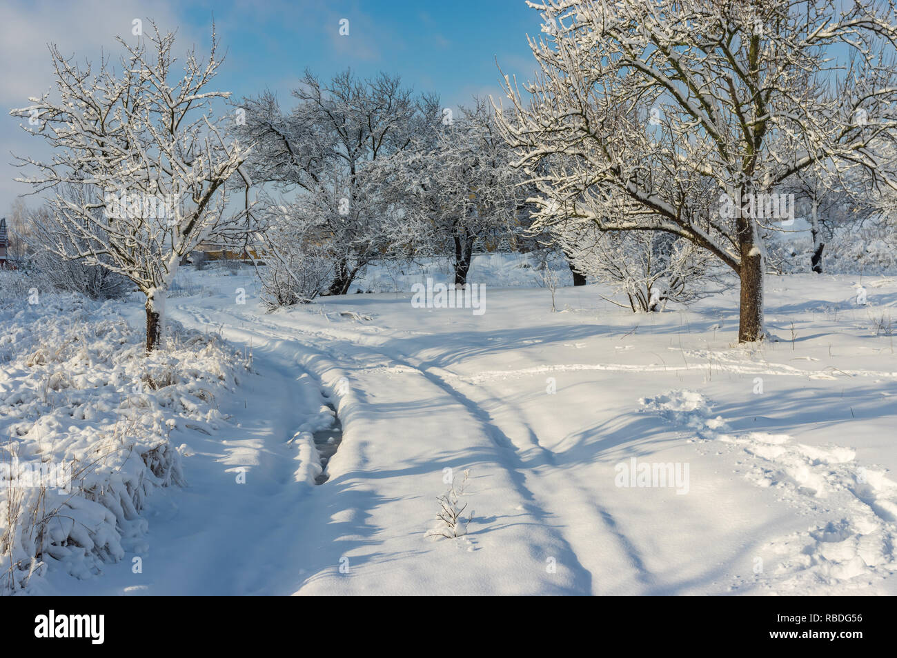 Paysage d'hiver avec chemin piétonnier à travers la neige couvert verger dans le village ukrainien Banque D'Images