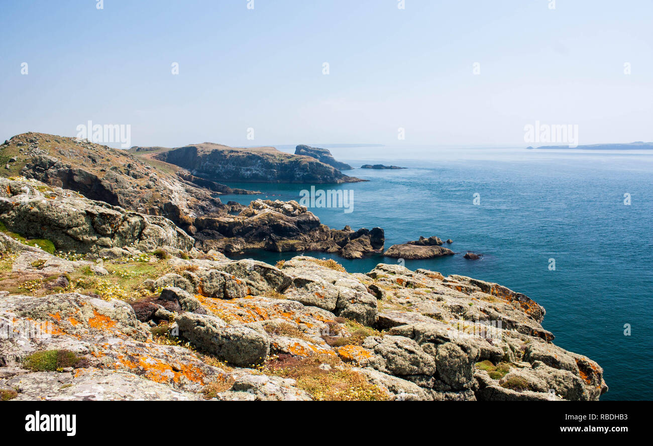 L'île de Skomer Banque D'Images